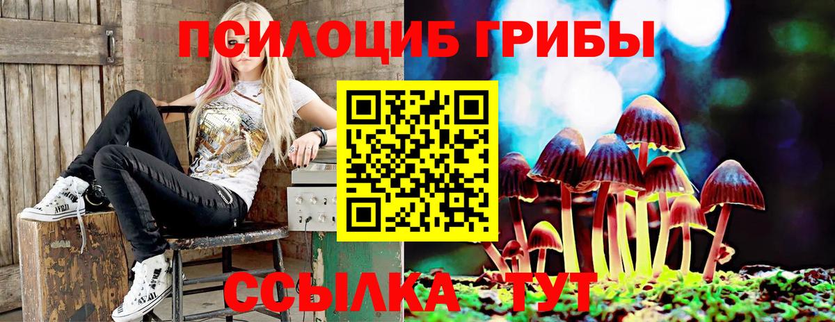 Галлюциногенные грибы ЛСД  Вход с VPN  Галлюциногенные грибы Magic Shrooms  Йошкар-Ола 